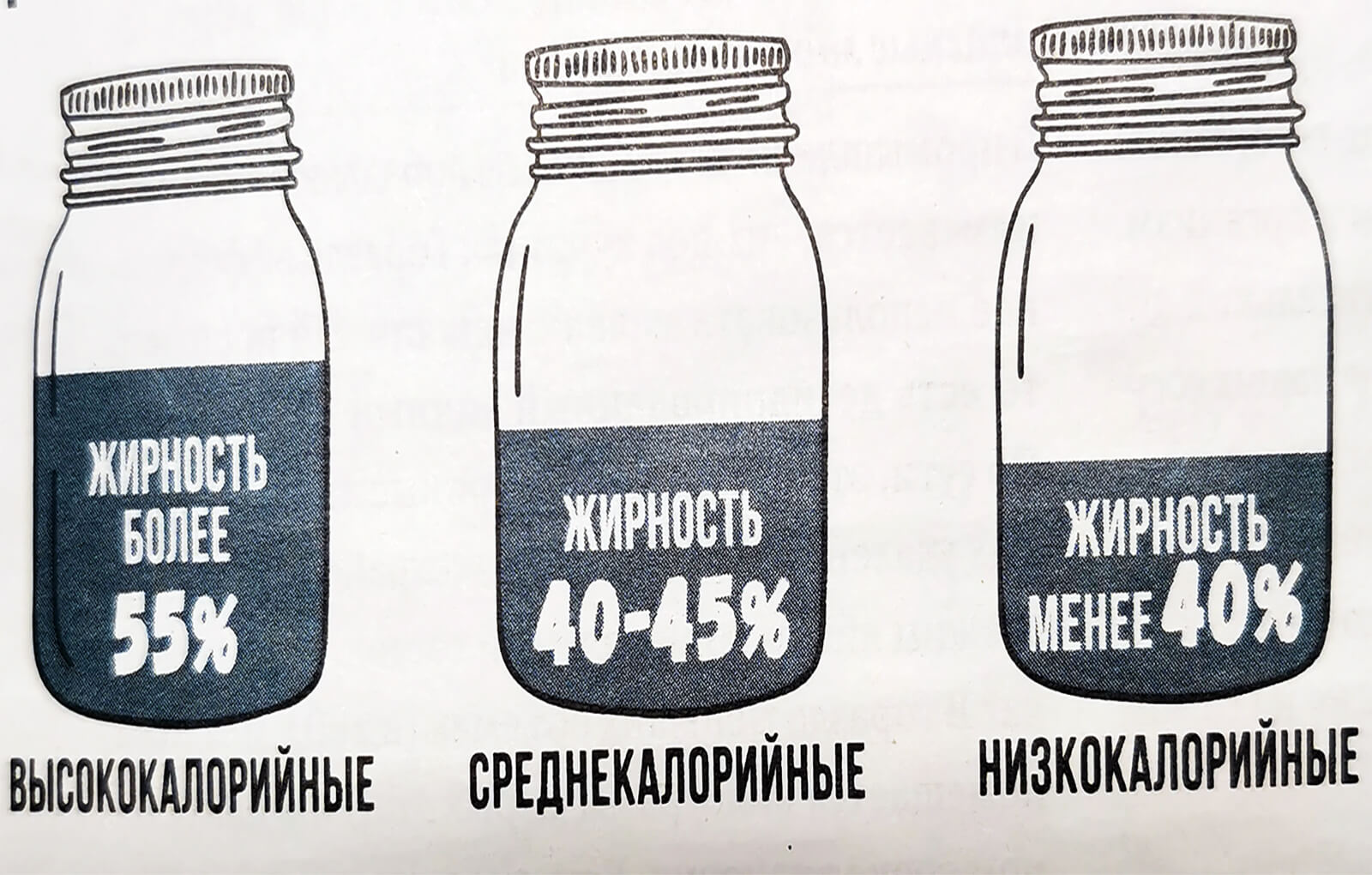 Сравнение калорийности майонеза: высокожирный (614 ккал), легкий (300 ккал) и оливковое масло (824 ккал)