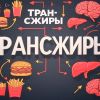 Что такое трансжиры и чем они опасны
