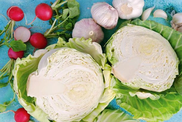 Полезные свойства редиски, капусты, чеснока