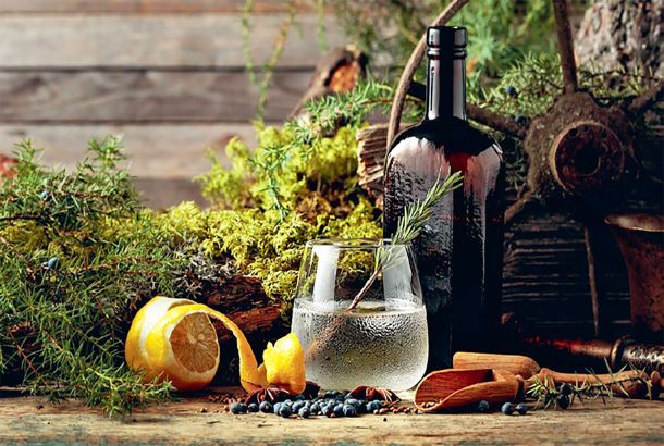 Джин: происхождение, история развития