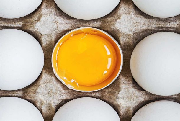 Яйца куриные, перепелиные, утиные, цесарки